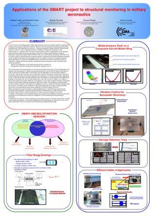 Applications of the SMART project to structural monitoring in military aeronautics