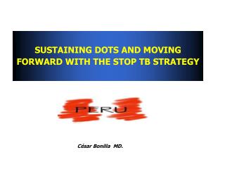 SUSTAINING DOTS AND MOVING FORWARD WITH THE STOP TB STRATEGY