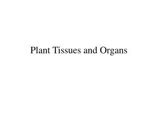 Plant Tissues and Organs