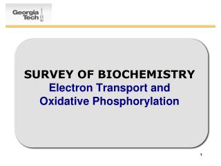 SURVEY OF BIOCHEMISTRY Electron Transport and Oxidative Phosphorylation