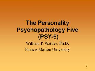 The Personality Psychopathology Five (PSY-5)