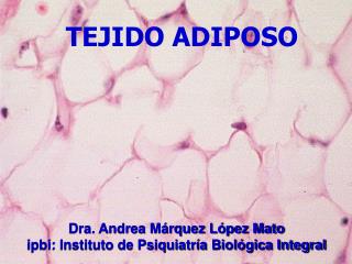 TEJIDO ADIPOSO