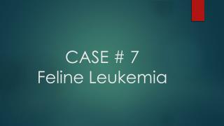 CASE # 7 Feline Leukemia