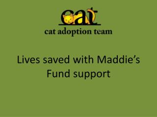 Lives saved with Maddie’s Fund support