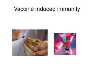 Vaccine induced immunity