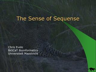 The Sense of Sequense