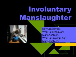 Involuntary Manslaughter