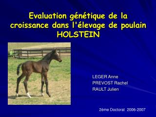 Evaluation génétique de la croissance dans l'élevage de poulain HOLSTEIN
