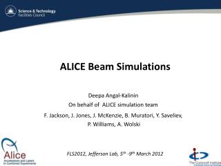 ALICE Beam Simulations