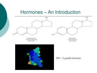 Hormones – An Introduction