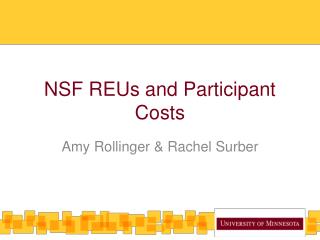 NSF REUs and Participant Costs