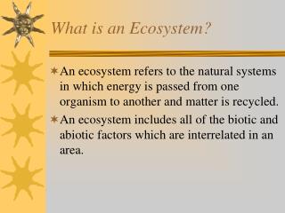 What is an Ecosystem?