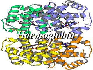 Haemoglobin