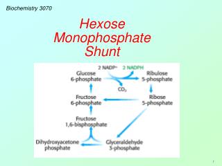 Biochemistry 3070