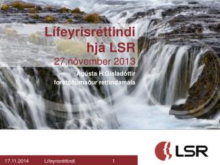 Lífeyrisréttindi hjá LSR 27.nóvember 2013