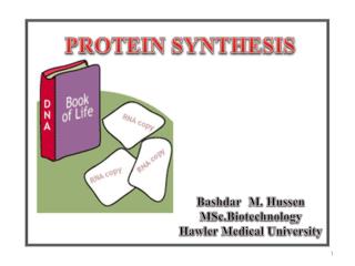 PROTEIN SYNTHESIS