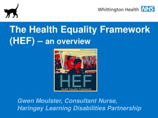 The Health Equality Framework (HEF) – an overview