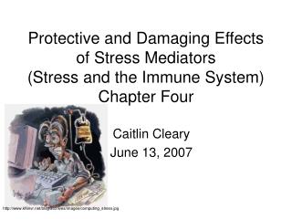 Protective and Damaging Effects of Stress Mediators (Stress and the Immune System) Chapter Four