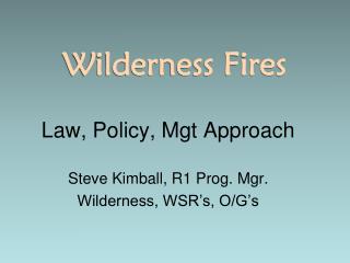 Wilderness Fires