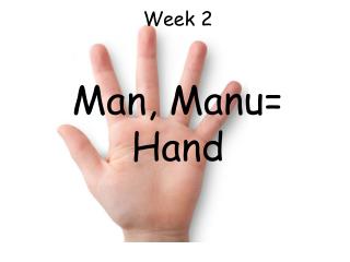 Week 2 Man, Manu= Hand