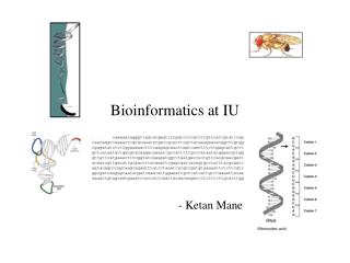 Bioinformatics at IU