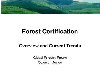Forest Certification