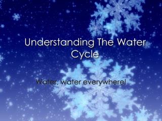 Understanding The Water Cycle