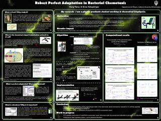 Robust Perfect Adaptation in Bacterial Chemotaxis