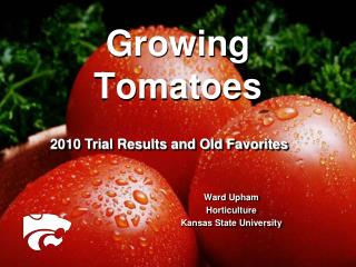 Growing Tomatoes