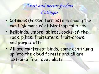 Fruit and nectar feeders Cotingas