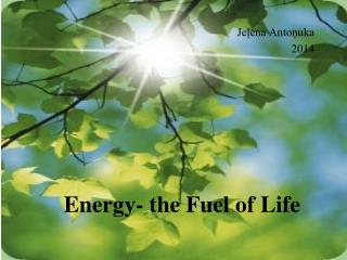 Energy - the Fuel of Life