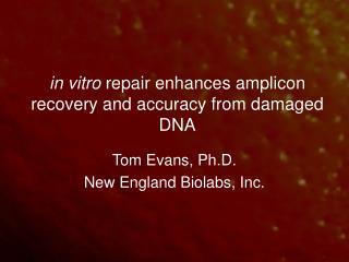 in vitro repair enhances amplicon recovery and accuracy from damaged DNA
