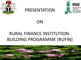 PRESENTATION ON RURAL FINANCE INSTITUTION- BUILDING PROGRAMME (RUFIN)
