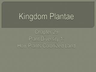 Kingdom Plantae Chapter 29 Plant Diversity 1: How Plants Colonized Land