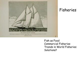 Fisheries