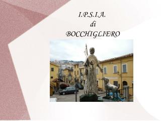 I.P.S.I.A. di BOCCHIGLIERO