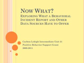 Now What? Exploring What a Behavioral Incident Report and Other Data Sources Have to Offer