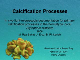 Calcification Processes