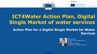 ICT4Water Action Plan, Digital Single Market of water services
