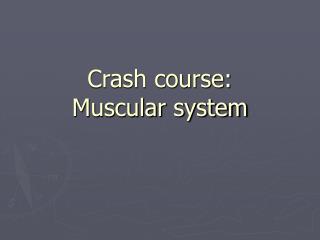 Crash course: Muscular system