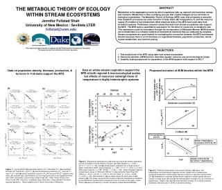 THE METABOLIC THEORY OF ECOLOGY WITHIN STREAM ECOSYSTEMS