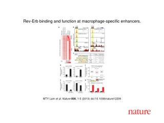 MTY Lam et al. Nature 000 , 1-5 (2013) doi:10.1038/nature12209