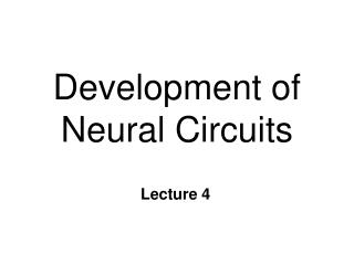 Development of Neural Circuits