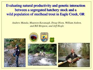 Evaluating natural productivity and genetic interaction