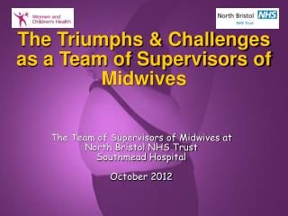 The Triumphs & Challenges as a Team of Supervisors of Midwives