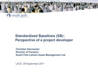 Standardized Baselines (SB): Perspective of a project developer