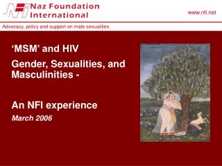 ‘MSM’ and HIV Gender, Sexualities, and Masculinities - An NFI experience March 2006