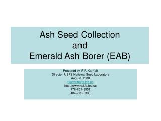 Ash Seed Collection and Emerald Ash Borer (EAB)