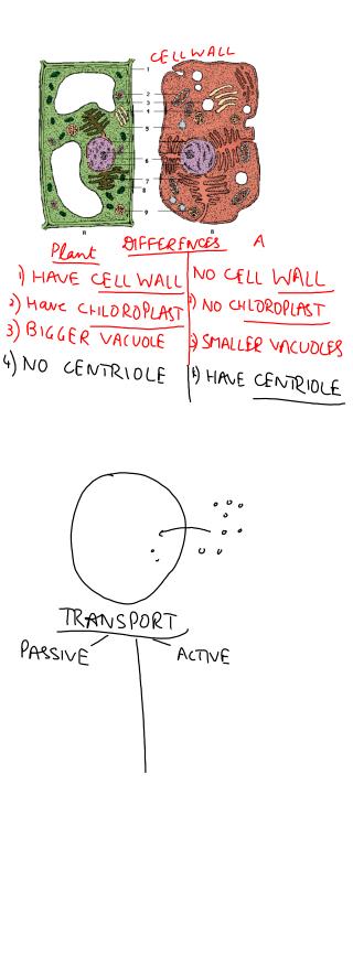 organic molecules