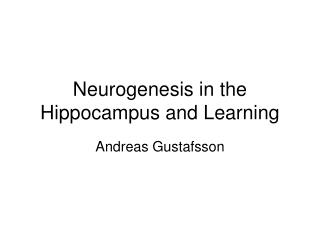 Neurogenesis in the Hippocampus and Learning